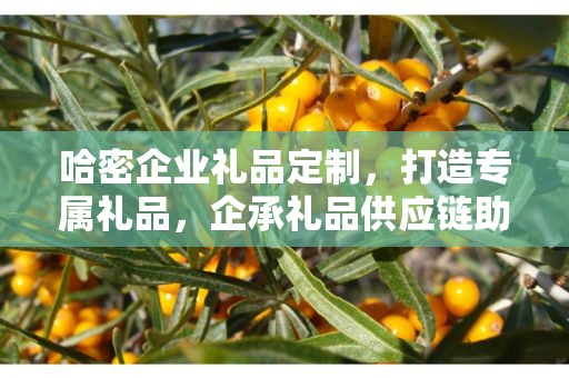 哈密企业礼品定制，打造专属礼品，企承礼品供应链助力商务往来