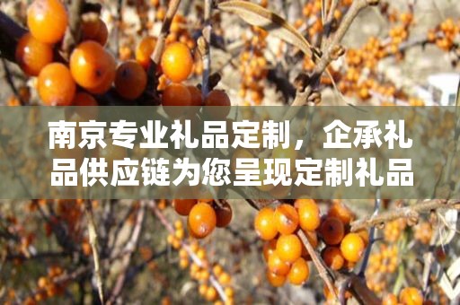 南京专业礼品定制，企承礼品供应链为您呈现定制礼品的魅力