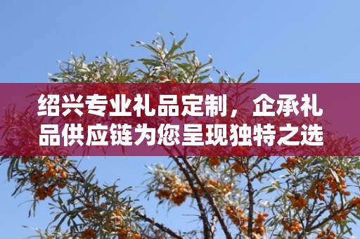 绍兴专业礼品定制，企承礼品供应链为您呈现独特之选